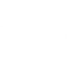 Littmann Stethoscopes logo