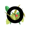 Outerbounds logo