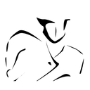 PAD System logo