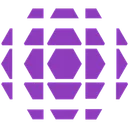 Proprio Paradigm logo